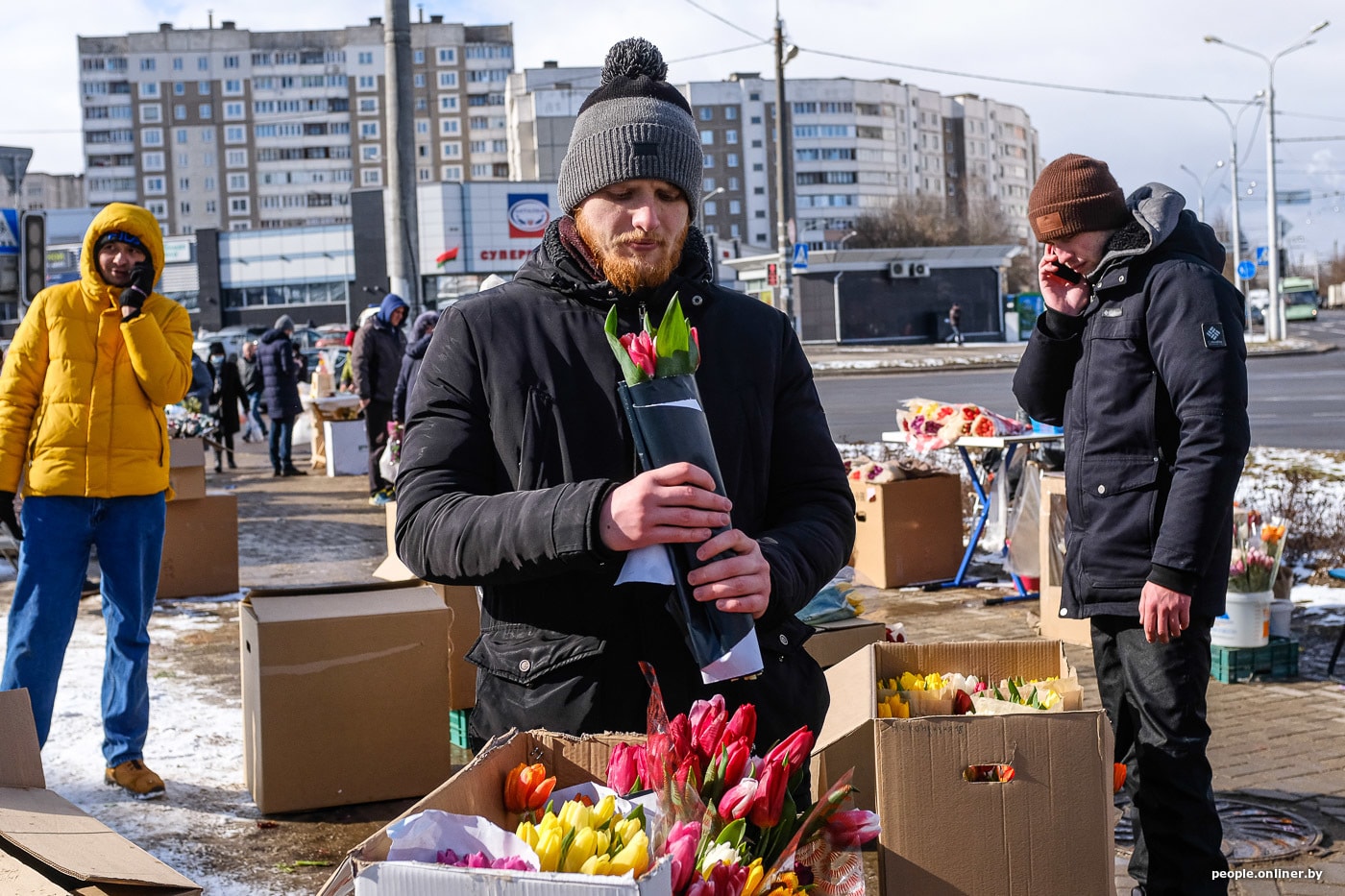 Перед 8 марта купили 1500 тюльпанов для продажи и легкого заработка. Что  вышло?