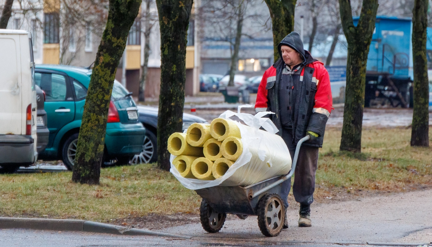 Рынок труда в Беларуси в 2025 году