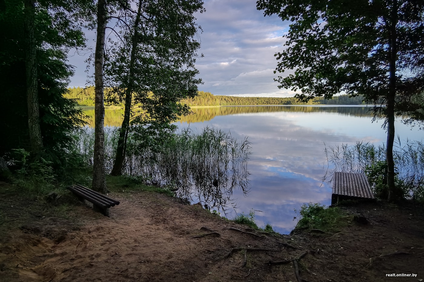 Лесной минская область