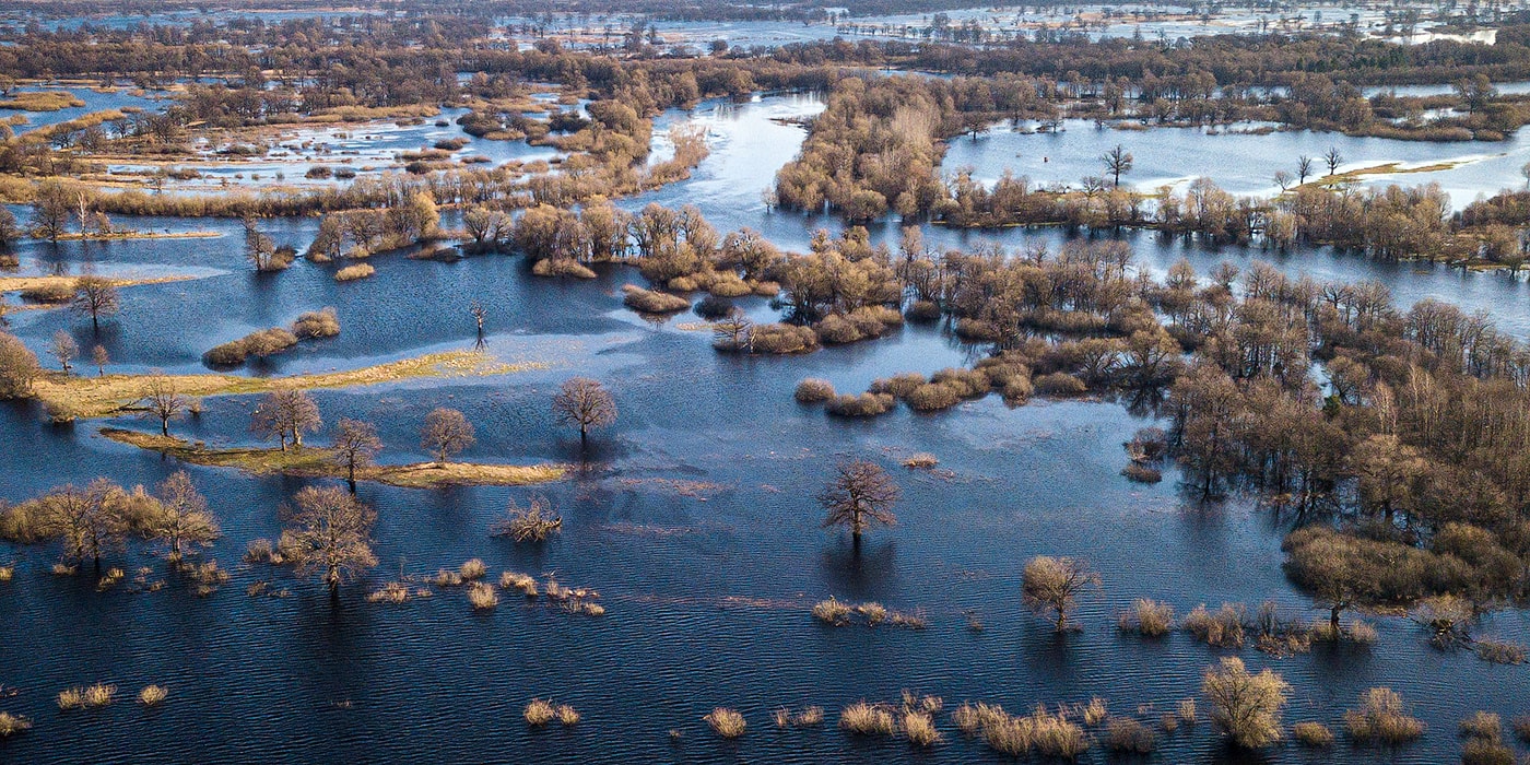 море геродота беларусь