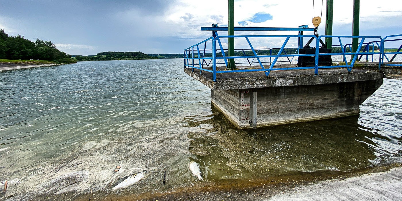 Дубровское водохранилище фото