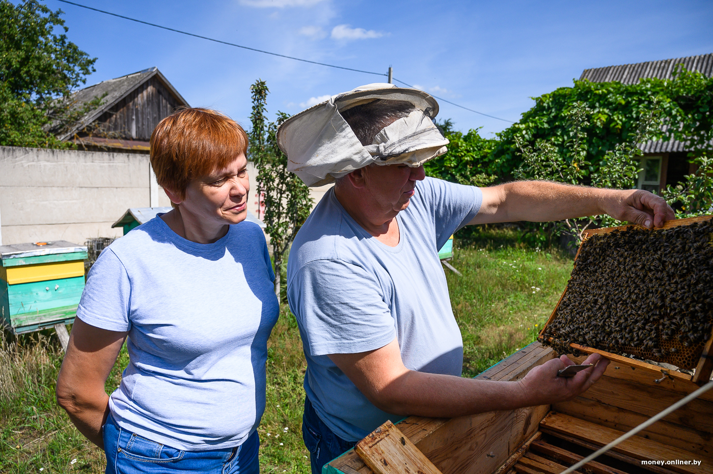 бизнес на пчелах