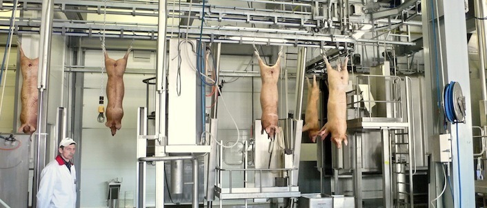 фото несунов со смоленского мясокомбината пространство математический