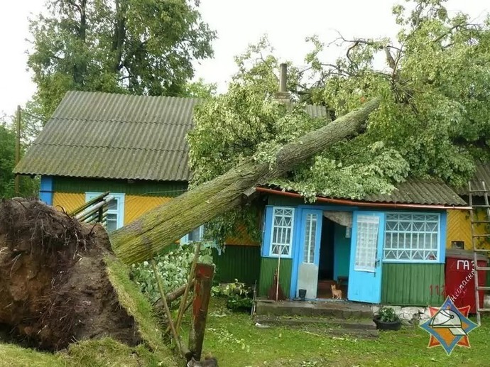 Дерево упало на крышу дома