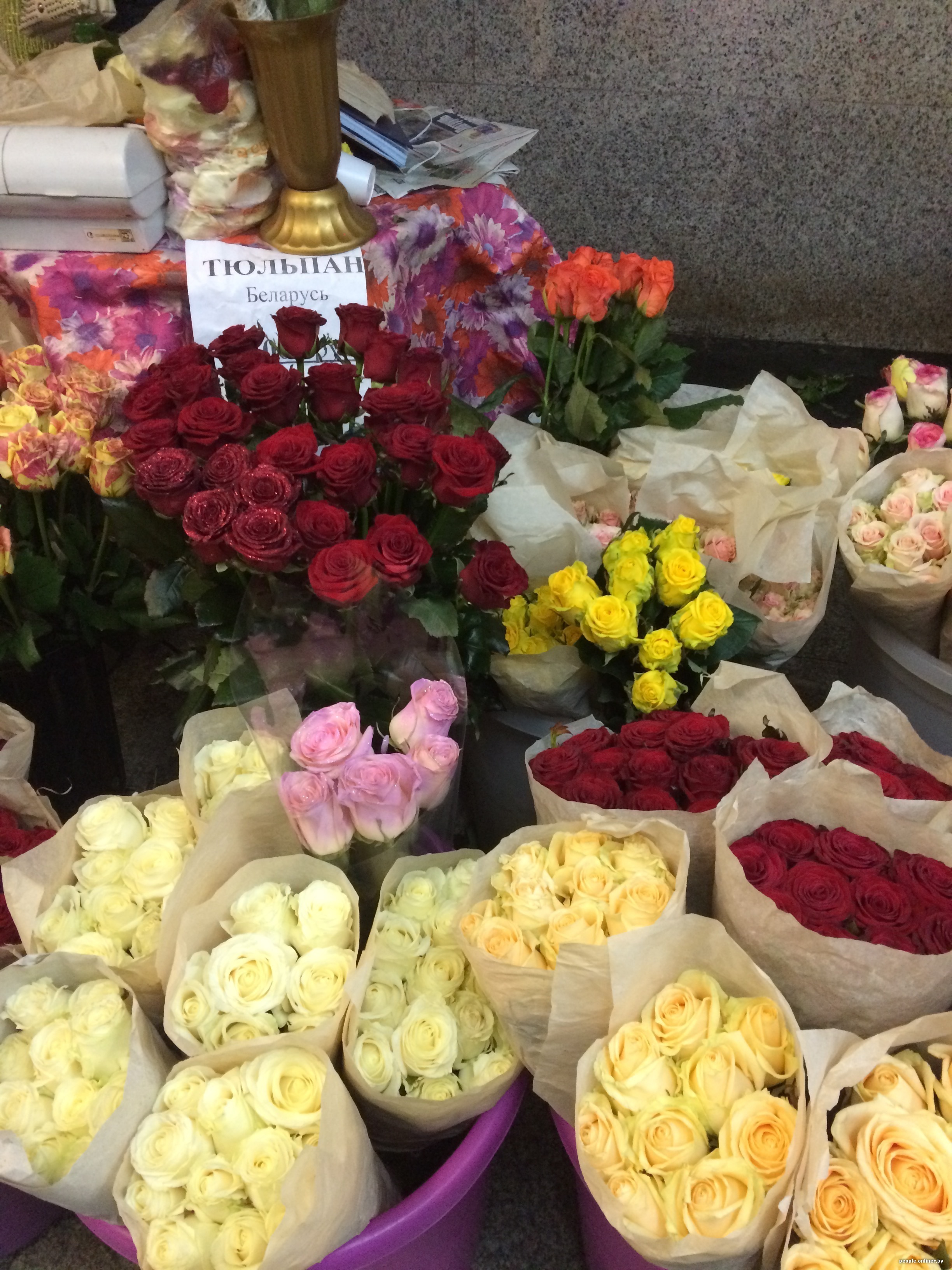 Купить розы в могилеве. Цветы ДОРОРС. Белорусские розы. Импортные цветы. Сколько стоят цветы.
