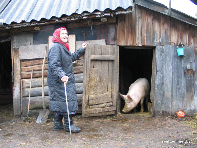 Энгельгардт. Письма из деревни. Письмо пятое