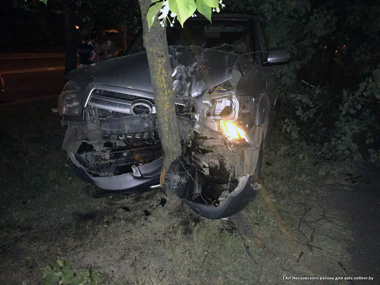 Водитель снес дерево и выпил коньяку со страху