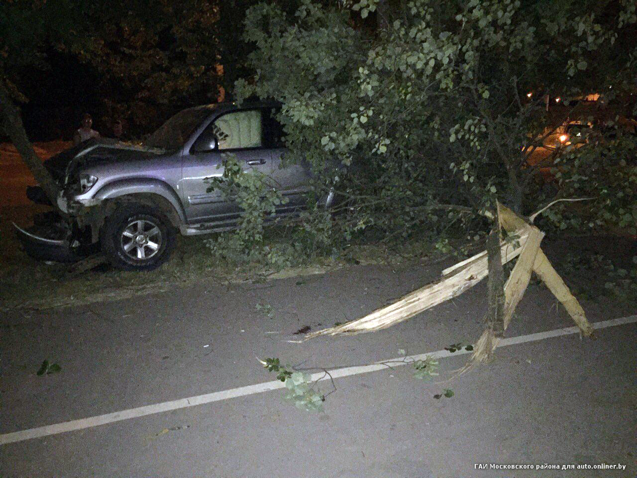 Водитель снес дерево и выпил коньяку со страху