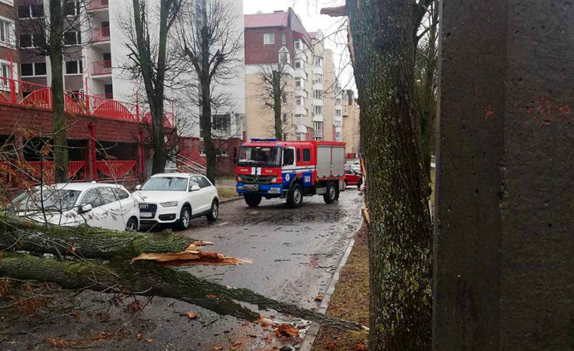 Непогода в белоруссии. Ураган в Минске. Минск последствия непогоды 11.12.2022. Пострадавшие от урагана в Белоруссии в 2016 году. Люди пострадавшие от урагана в Белоруссии.