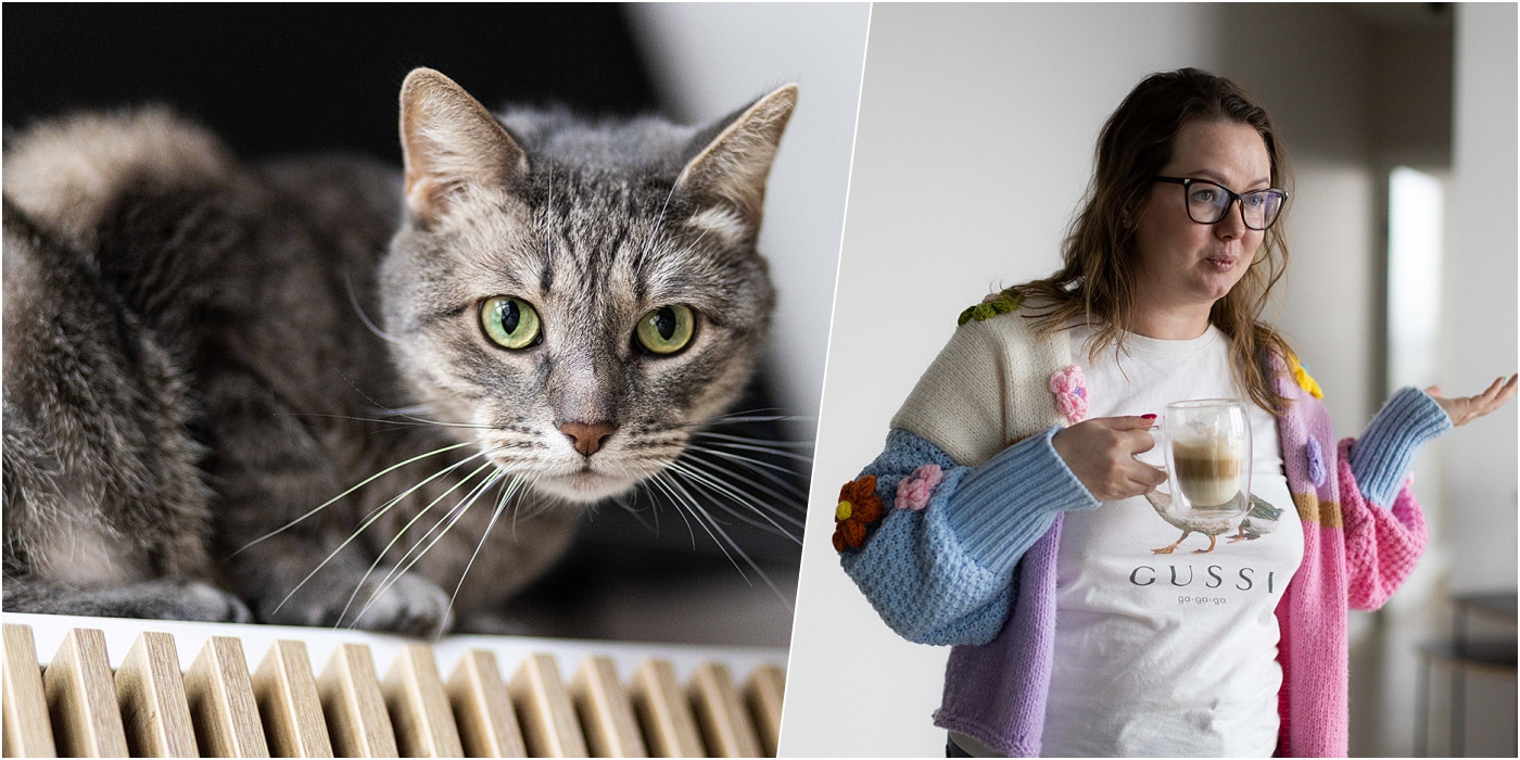 Поведение котов и кошек: разбираемся вместе с зоопсихологом