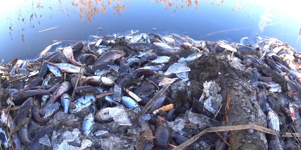прикольное видео про рыбалку рыбак потерял улов