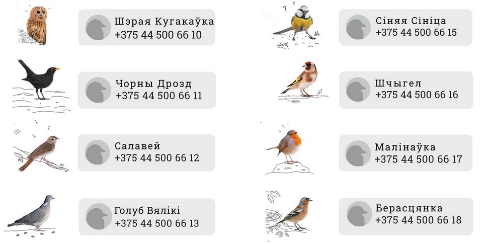 Звонок птичьи голоса. Номер птицы. Птички позвонить птички. Самые распространённые птицы в России. Самые распространенные птицы России.