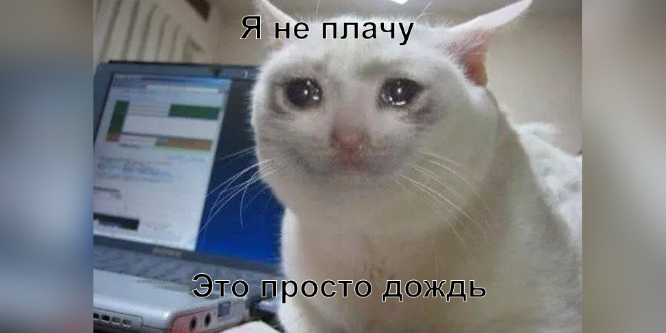 Я не плачу это просто дождь