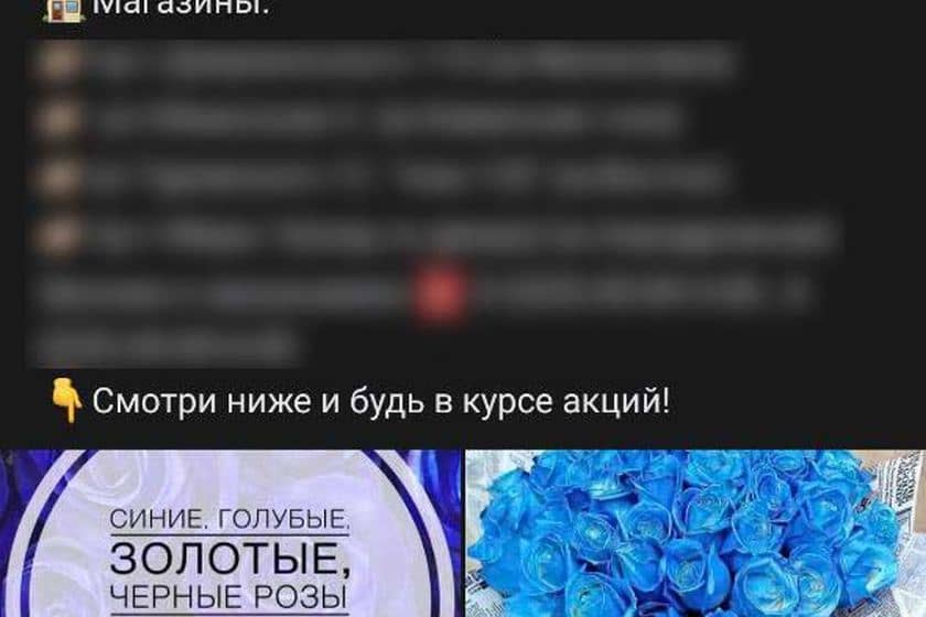 Приора Картинки Красивые С Розой – Telegraph