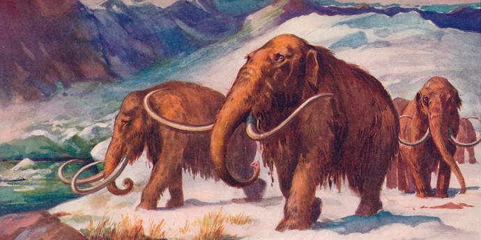 古代人は生物種の絶滅の原因であると認識された
