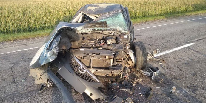 В Гомельской области Mazda6 совершила наезд на лося. Пострадал пассажир