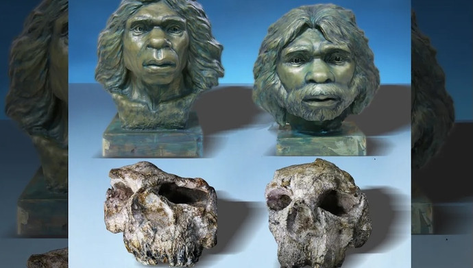 中国で発見されたホモ・エレクトスの頭蓋骨は「絶対的な驚き」と呼ばれる
