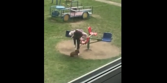 Минск, карусель: девочка жестоко избивает собаку. Милиция начала проверку&nbsp;(видео, дополнено)