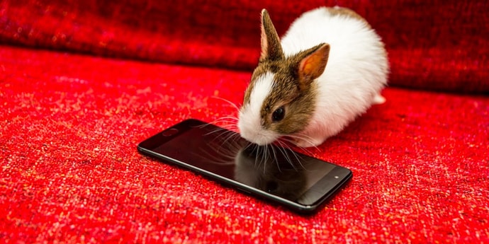 Сайт OnePlus заподозрили в утечке данных с пользовательских карт