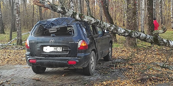 Упало дерево в парке. Дерева упала на Хундай Туксон.