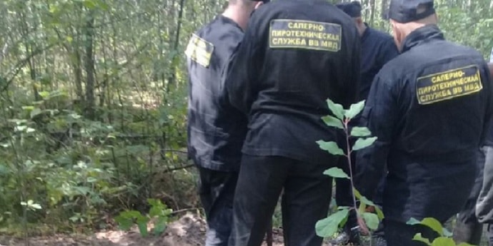 Житель Столина пошел в лес и вместо грибов нашел элементы ракеты и авиабомбы