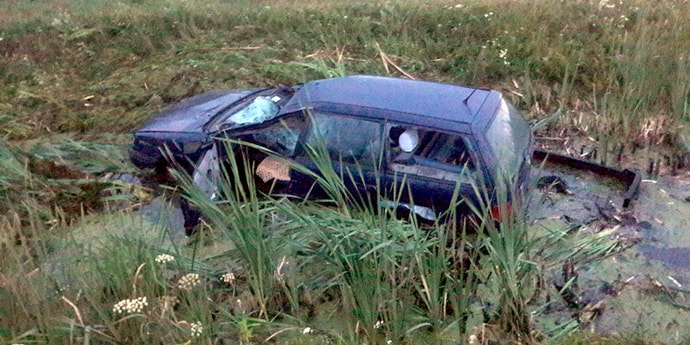 Volkswagen сбил лося на брестской трассе, водитель с тяжелыми травмами госпитализирован