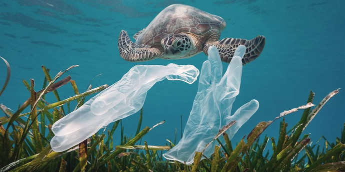 科学者はプラスチック汚染について警戒しています