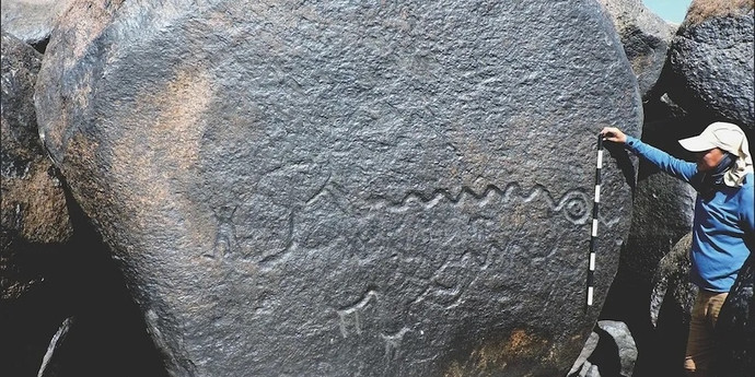 コロンビアで見つかった謎のシンボル。 樹齢は2000年と考えられている