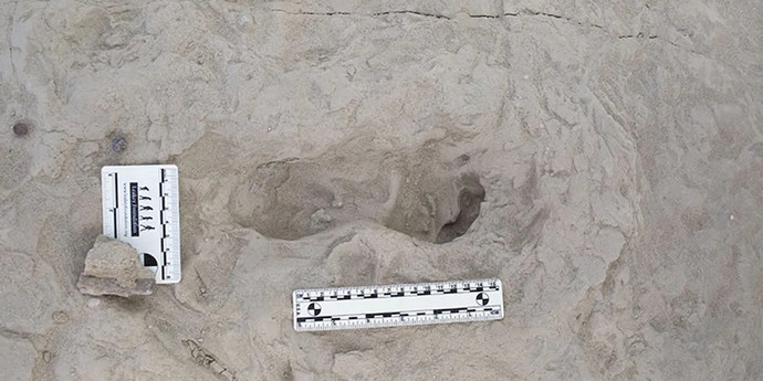 150万年前の足跡が科学者に人類の進化への新たな洞察を与える