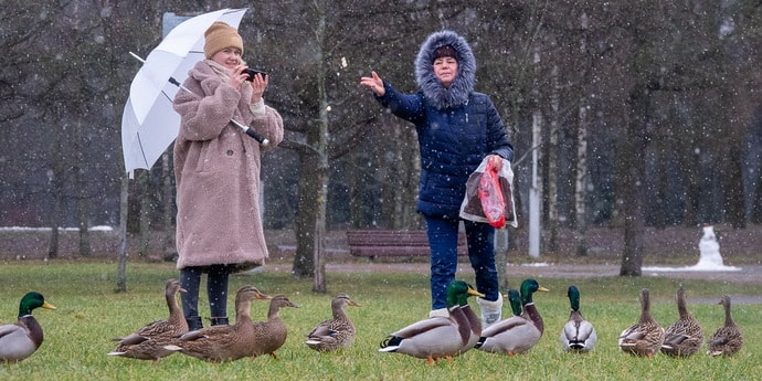 Картинки по запросу "Только не лезьте в настройки. Погода переходит на апрельский график" Картинки по запросу "Только не лезьте в настройки. Погода переходит на апрельский график"