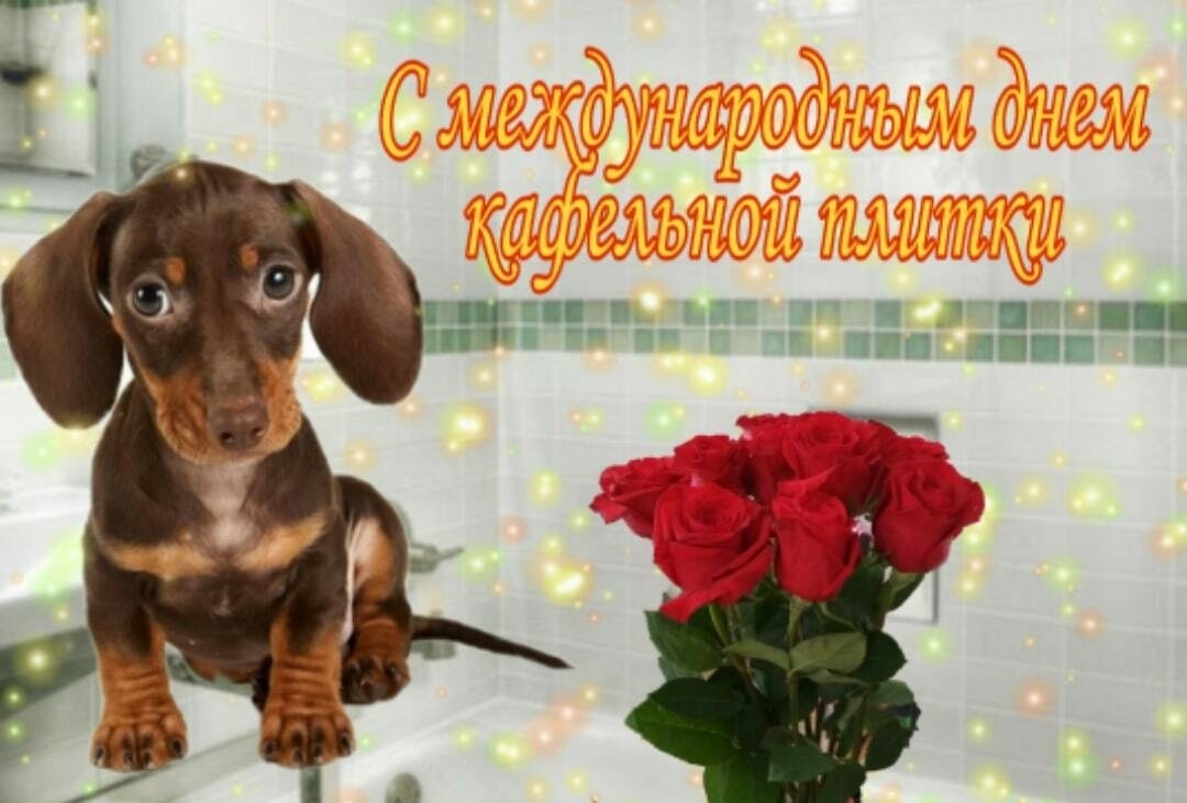 Мем с днем дня