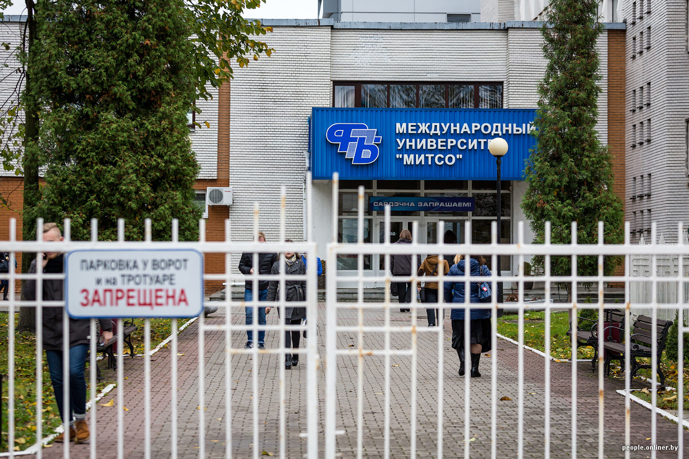 Митсо план приема - 81 фото