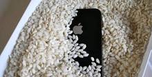 Apple: не сушите iPhone в рисе — вот почему Apple: не сушите iPhone в рисе — вот почему
