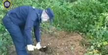 Избил и закопал. В Верхнедвинском районе выясняют обстоятельства убийства (видео)