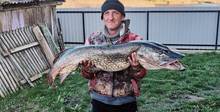 Рыбак в Гродненской области поймал большущую щуку. Узнали, тянет ли улов на рекорд