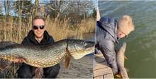 Рыбак поймал под Минском большущую щуку. Как вам такой улов?