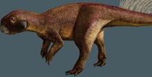 Ученые впервые нашли окаменелый пупок динозавра. Ранее считалось, что древние рептилии им не обладали