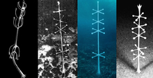 На глубине 4 километров нашли «древнюю микроволновую антенну». Что это было?