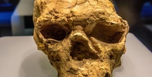 В Китае нашли неповрежденный человеческий череп, который пролежал в земле миллион лет