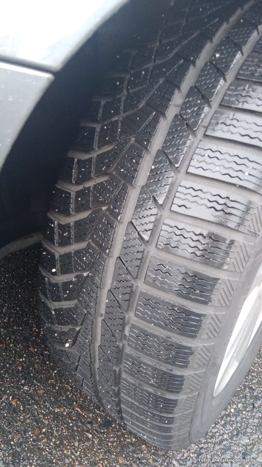 Отзывы Sailun Ice Blazer Alpine EVO 225/55R16 99V