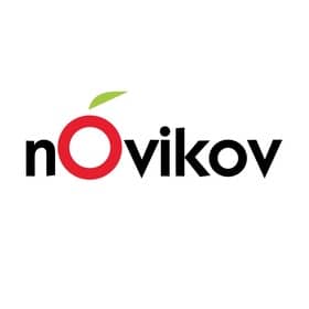 Novikov group